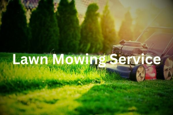 Handy HQ performing lawn care