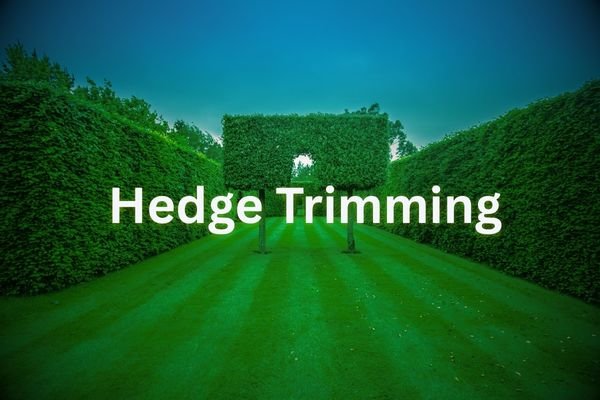 Handy HQ trimming hedges